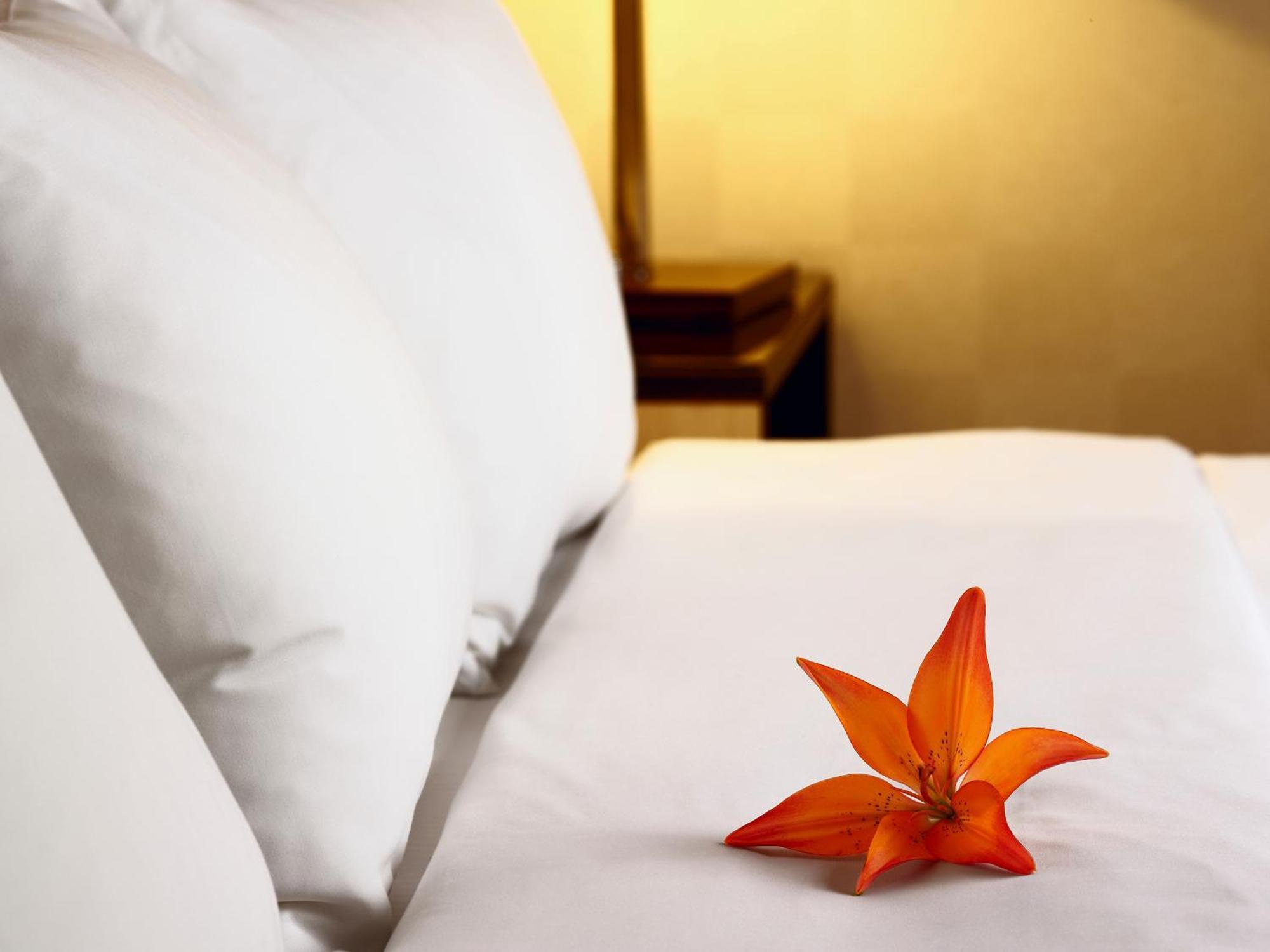קוויבק סיטי Hotel Acadia מראה חיצוני תמונה